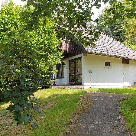 Appartamento Ferienhaus Tony- Dein Persoenliches Ferienhaus Zum Wohlfuehlen Frankenau Esterno foto